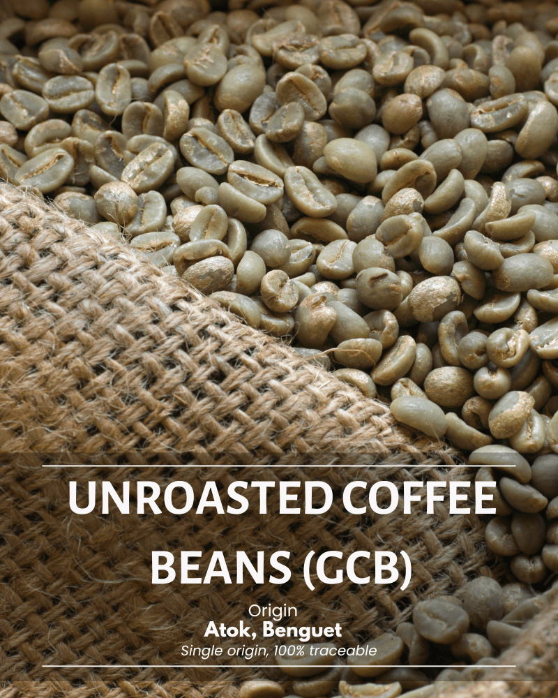 Atok Arabica Green Beans – Single-Origin, Natural Process - Si'jop Capital Specialty Coffee